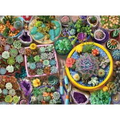 Cacti Pots