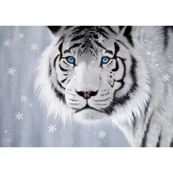 Crystal Eyes 500 Piece Jigsaw Puzzle