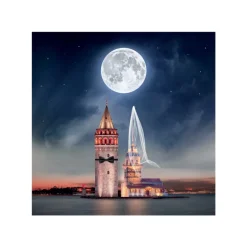 Wedding 1024 Piece Jigsaw Puzzle #1101
